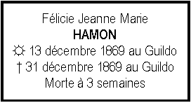 Zone de Texte: Flicie Jeanne MarieHAMON☼ 13 dcembre 1869 au Guildo 31 dcembre 1869 au GuildoMorte  3 semaines
