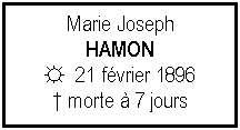 Zone de Texte: Marie Joseph HAMON☼  21 fvrier 1896 morte  7 jours