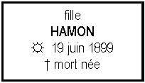Zone de Texte: filleHAMON☼  19 juin 1899 mort ne
