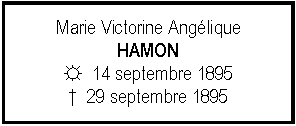 Zone de Texte: Marie Victorine AngliqueHAMON☼  14 septembre 1895  29 septembre 1895 