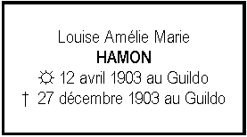 Zone de Texte: Louise Amlie MarieHAMON☼ 12 avril 1903 au Guildo  27 dcembre 1903 au Guildo