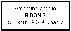 Zone de Texte: Amandine ? MarieBIDON ?Φ 1 aout 1907  Dinan ?